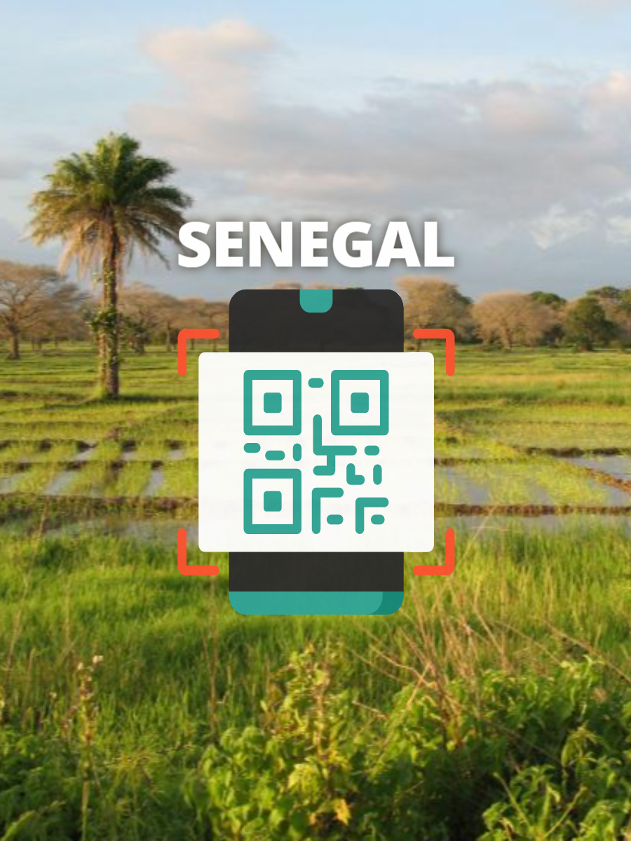 Senegal